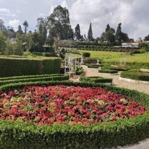 views-of-the-garden
